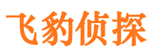 延吉外遇出轨调查取证